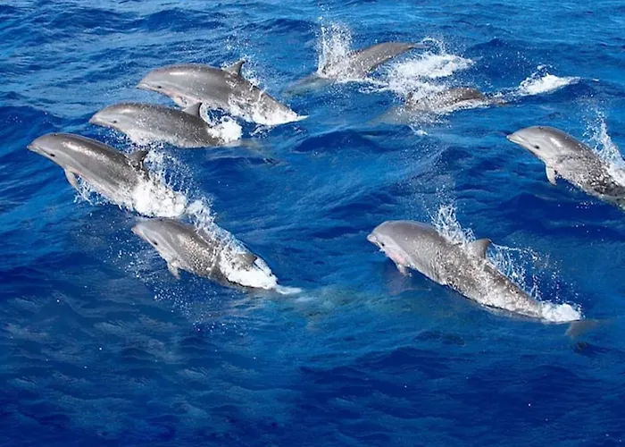 בית נופש Sunset Balcony With Ocean Views And Pool Access Mogán